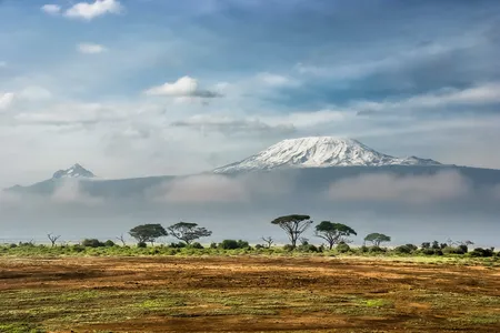 Mount Kilimanjaro is the largest free-standing mountain in the world.