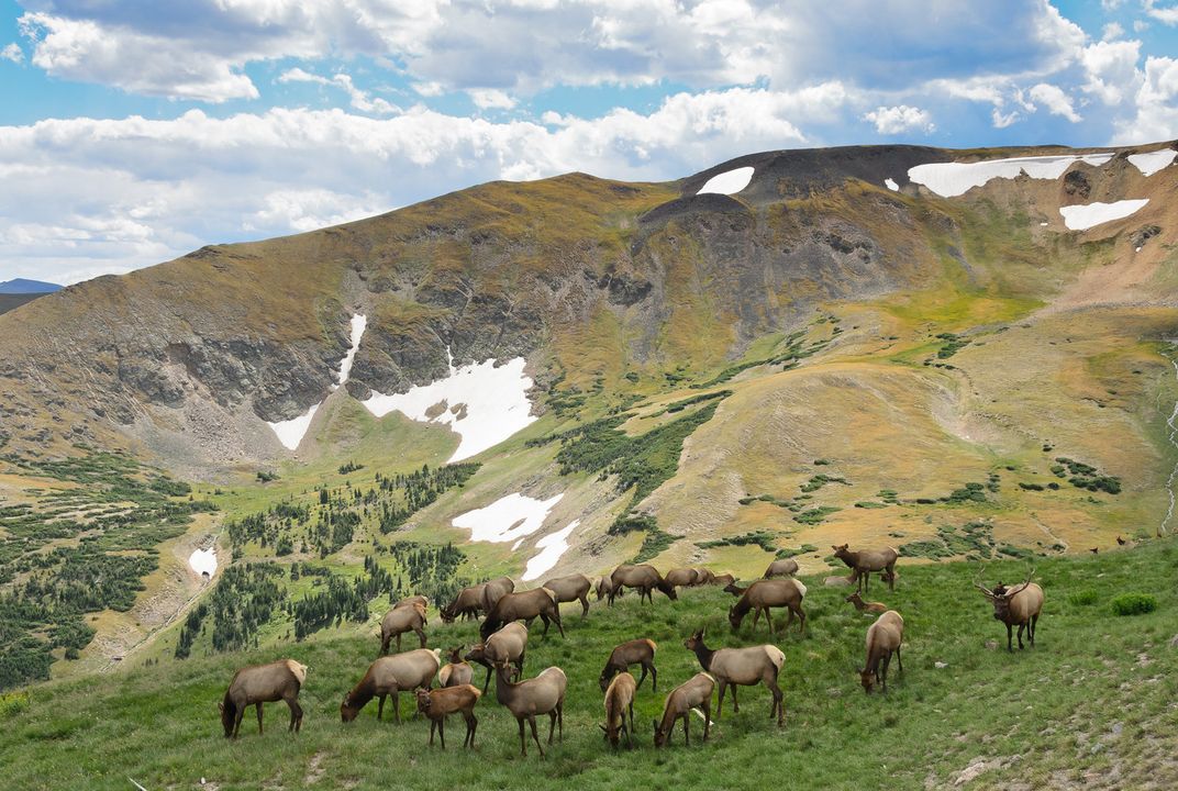 The Best National Parks for Wildlife Spotting | Travel| Smithsonian Magazine