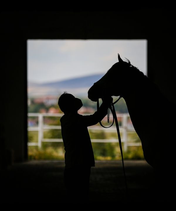 Silhouette image of champion racehorse and his keeper thumbnail