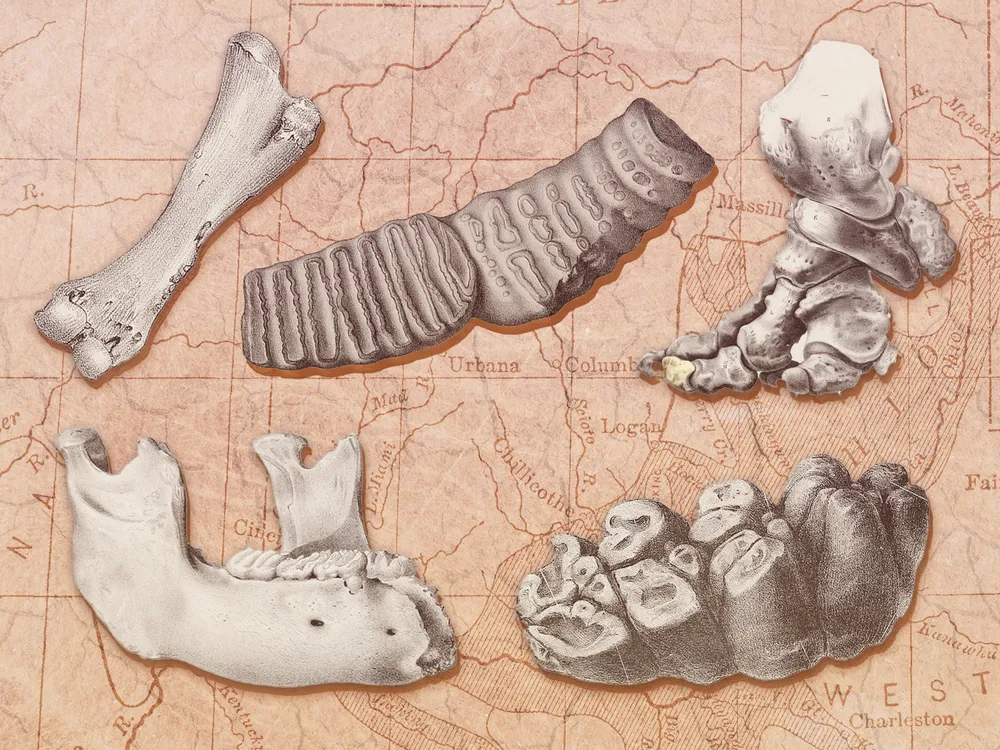 Illustration of mammoth and mastodon bones overlaid on a map of the Ohio River