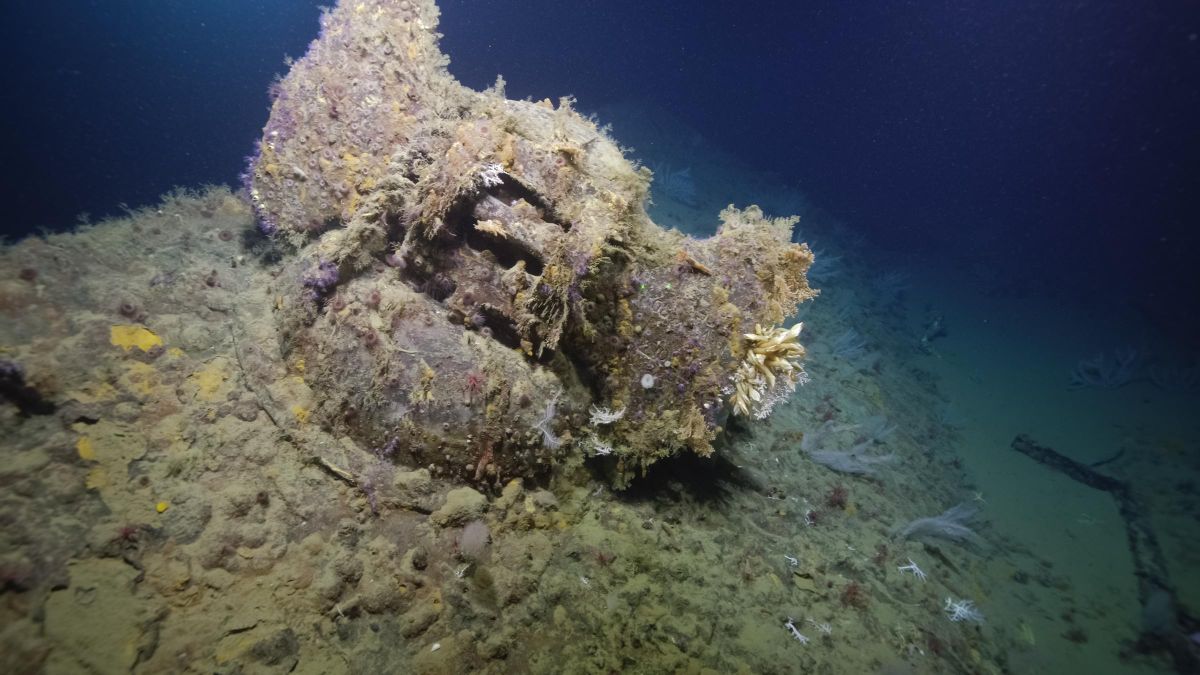 www.smithsonianmag.com
