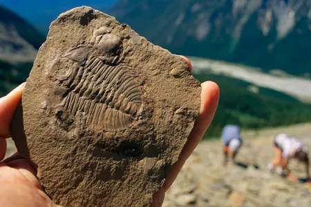 The Burgess Shale, a crumbling slope in Canada's Rocky Mountains, has provided our first good look at the rich variety of organisms that once flourished in the region.