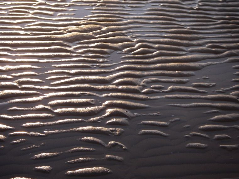 Low tide... | Smithsonian Photo Contest | Smithsonian Magazine