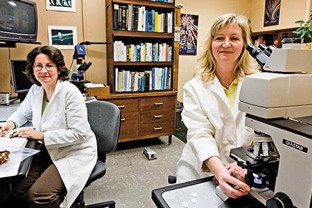 The Smithsonian's Feather Identification Laboratory quickly determined that Canada geese had disabled US Airways Flight 1549.