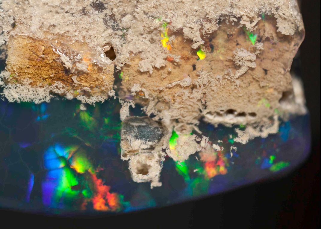 Opalized Wood