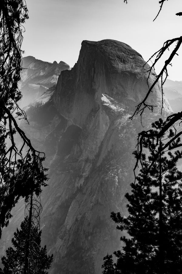 Half Dome Overshadowing Yosemite thumbnail