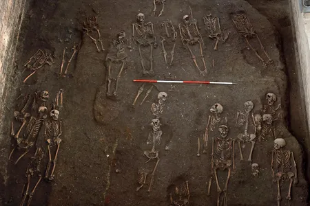 Remains of individuals unearthed at the site of the former Hospital of St. John the Evangelist in Cambridge