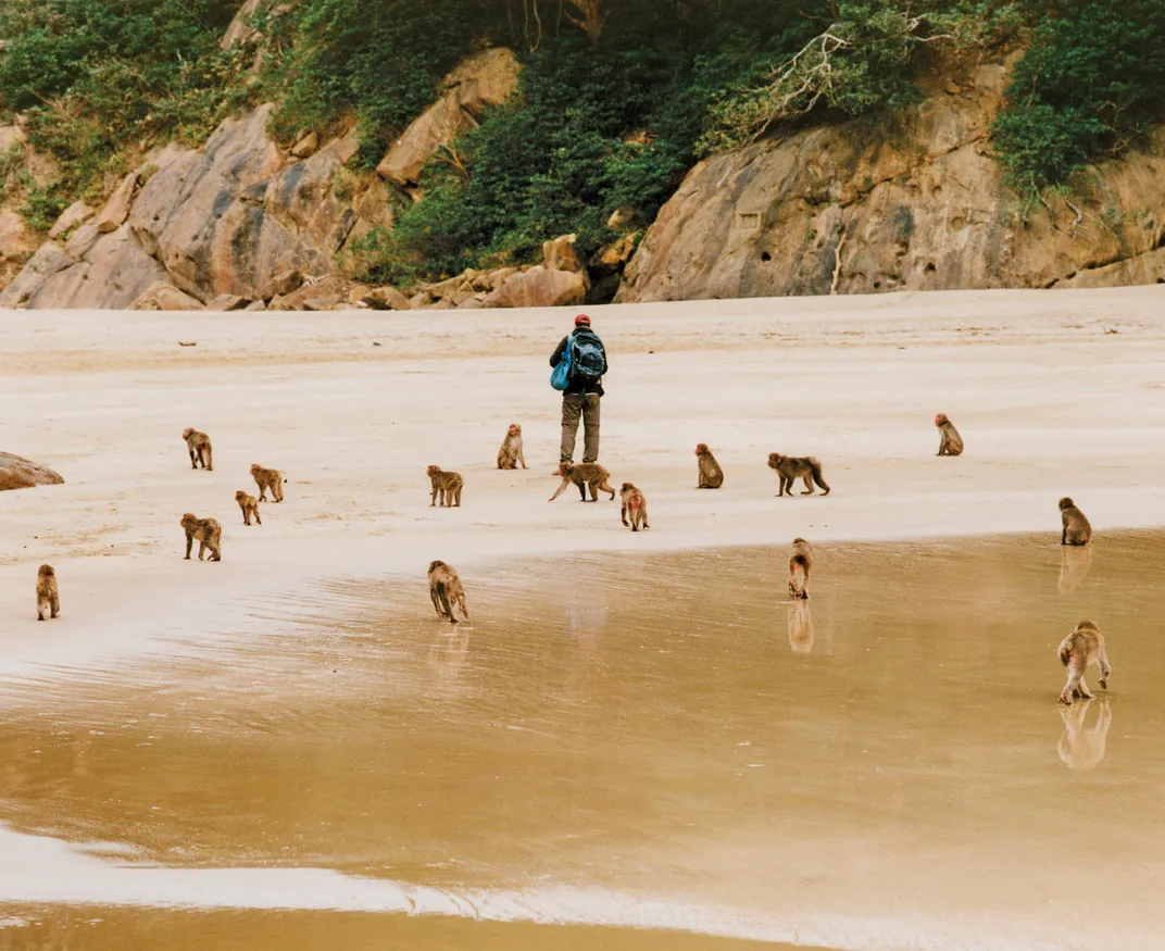 Nelson Broche feeding monkeys