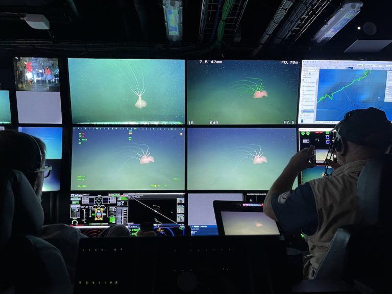 The silhouettes of two people watching a bank of screens with a squid on them
