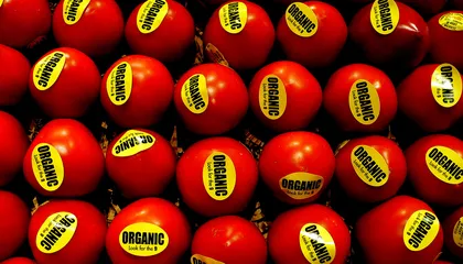 Podcast: Our Food, Our Selves