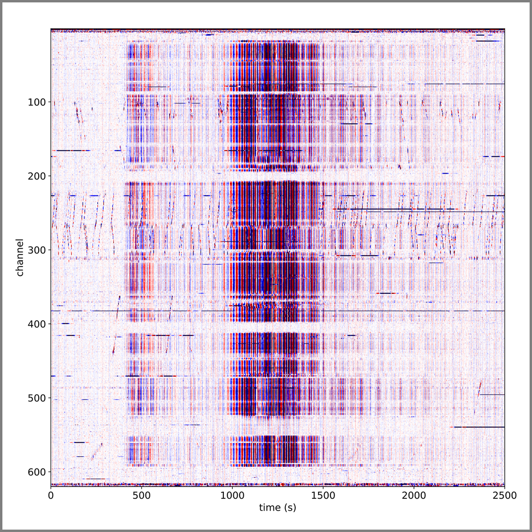 The fiber optic seismic observatory