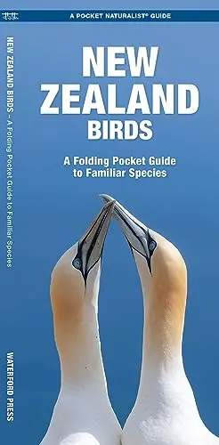 New Zealand Birds: A Folding Pocket Guide to Familiar Species (Nature Observation International)