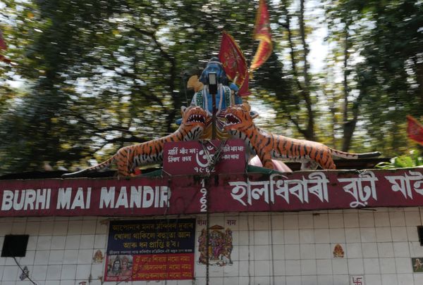 Tiger Temple, Kaziranga thumbnail