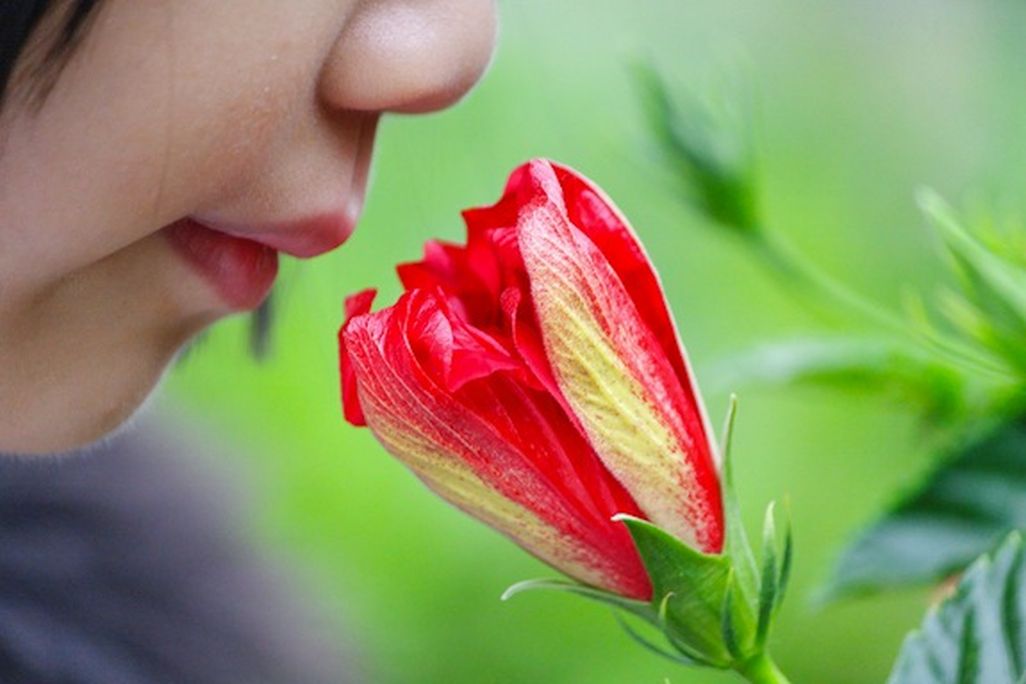 20120731021006smell.jpg