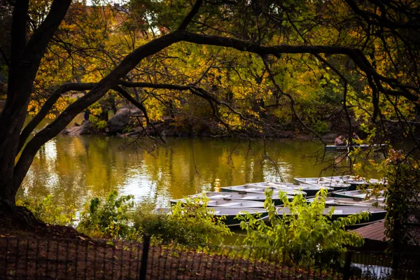 Autumn in Central Park thumbnail