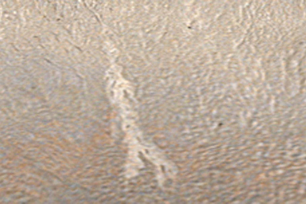 gusher-631-jan07.jpg