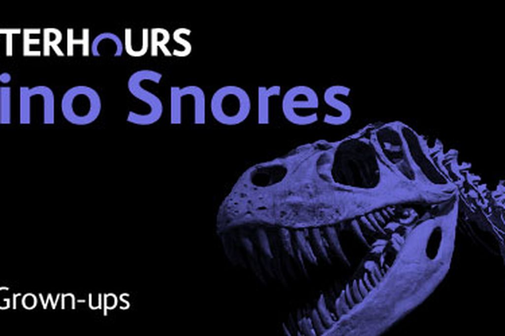 20120801031006dino-snores.jpg