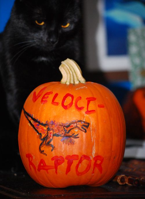 20110520083106raptor-pumpkin-009.jpg