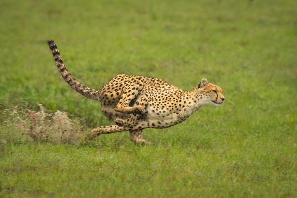 Wet and Wild thumbnail