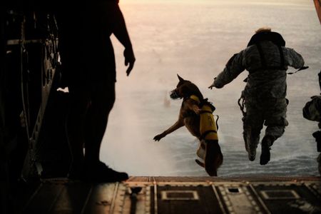 A U.S. Army soldier with the 10th Special Forces Group and his military working dog jump off the ramp of a CH-47 Chinook helicopter during water training over the Gulf of Mexico, March 2011.