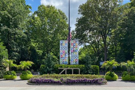 In planning to re-open, Zoo staff have spent several weeks consulting scientific experts and preparing rigorous healthcare guidelines.