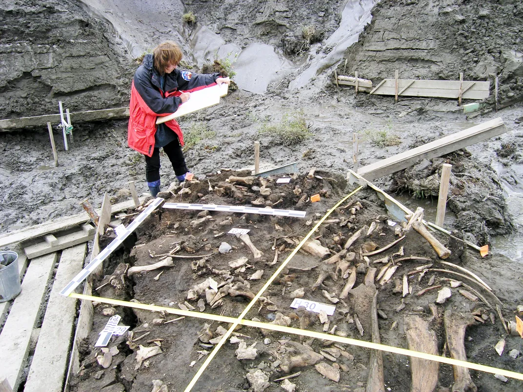 Siberia Site