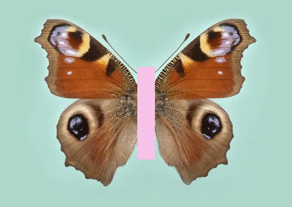 #BeAButterflyYourself - Pop Edition - Iniachis io on mint thumbnail