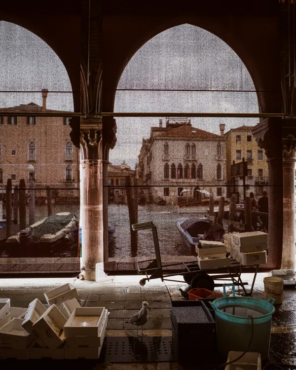 Fish Market in Venice thumbnail