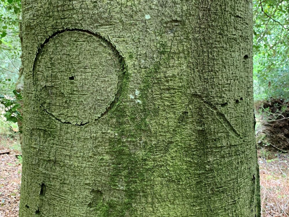 Witches' mark