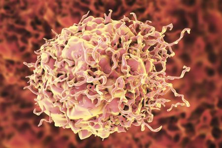 Colon cancer cell illustration