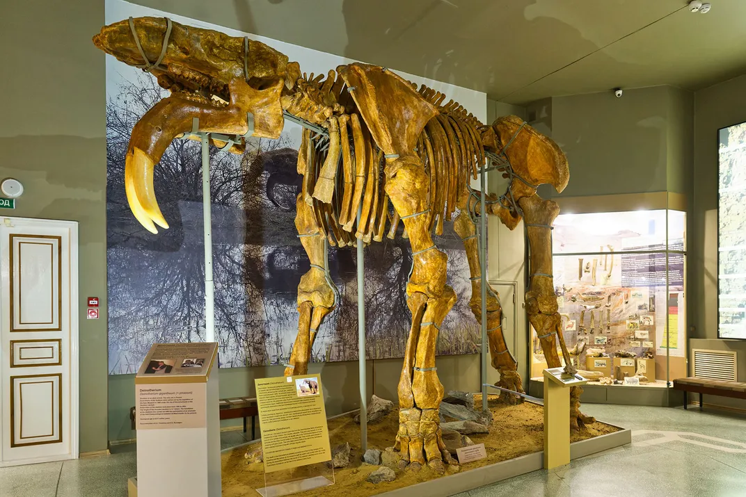 Deinotherium