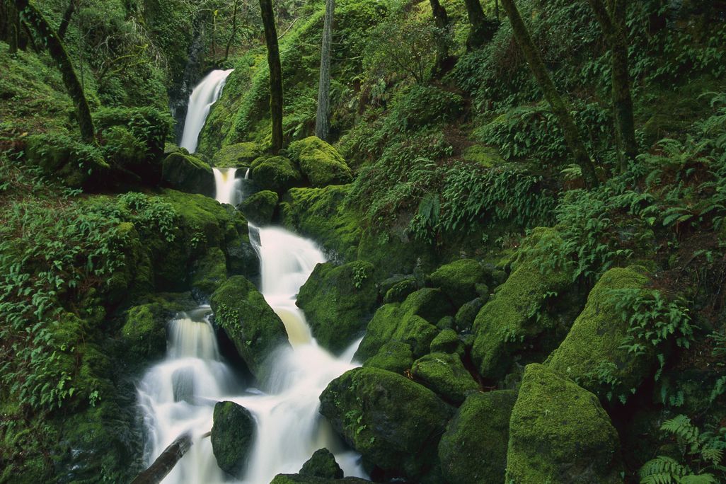 california stream