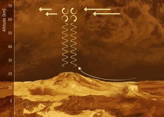 Microbes in the Clouds of Venus