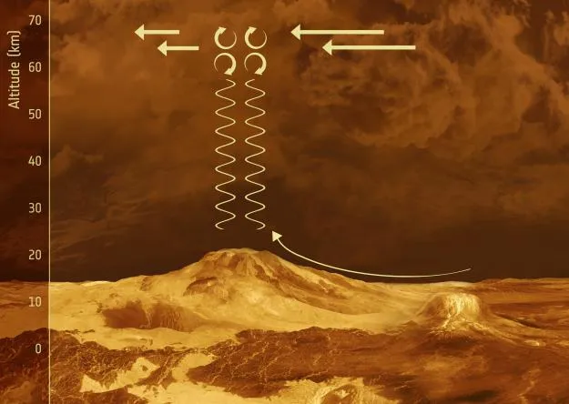 Microbes in the Clouds of Venus