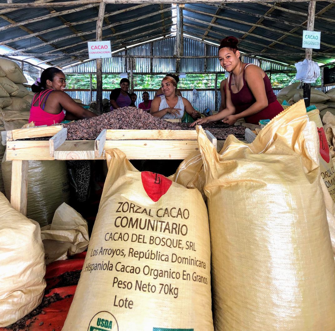 Zorzal Cacao staff sort cacao for shipment