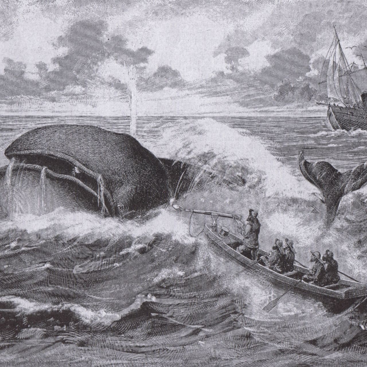洋書 The Fine Hammered Steel of H. Melville The Fine Hammered Steel of Herman Melville: With a Checklist