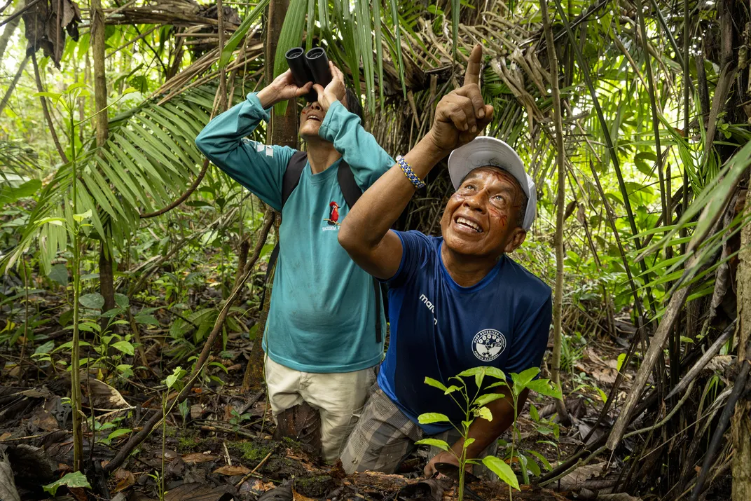 César Piaguaje, right, a member of the local Indigenous Secoya community, helps de la Torre find pygmy marmosets.