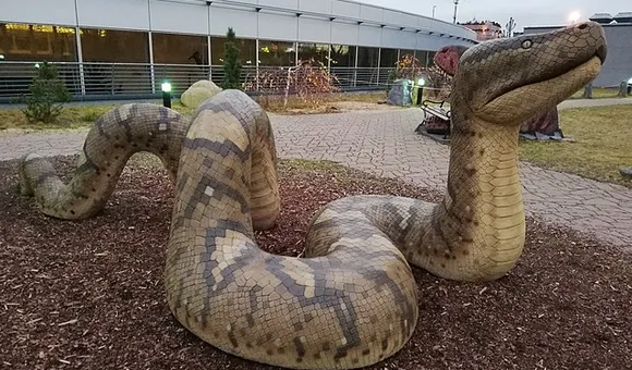 Titanoboa Model.jpg