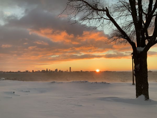 Buffalo sunrise thumbnail