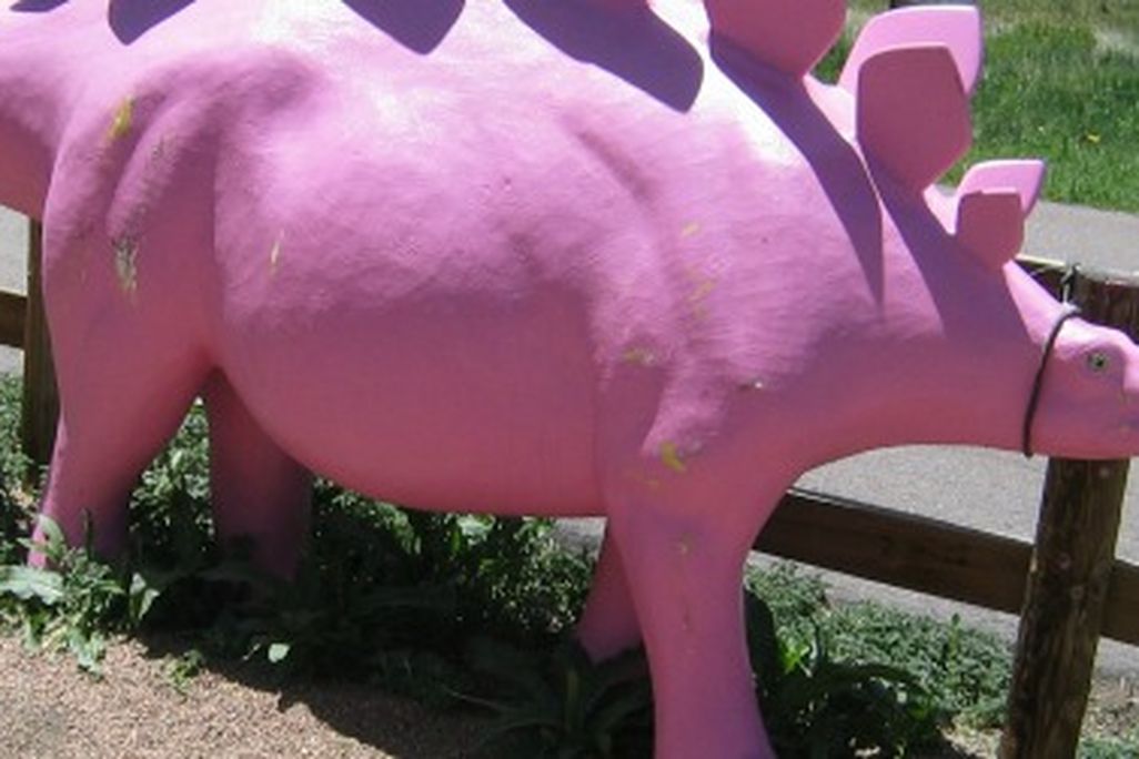 A hot pink Stegosaurus at the Dinosaur Ridge visitor's center