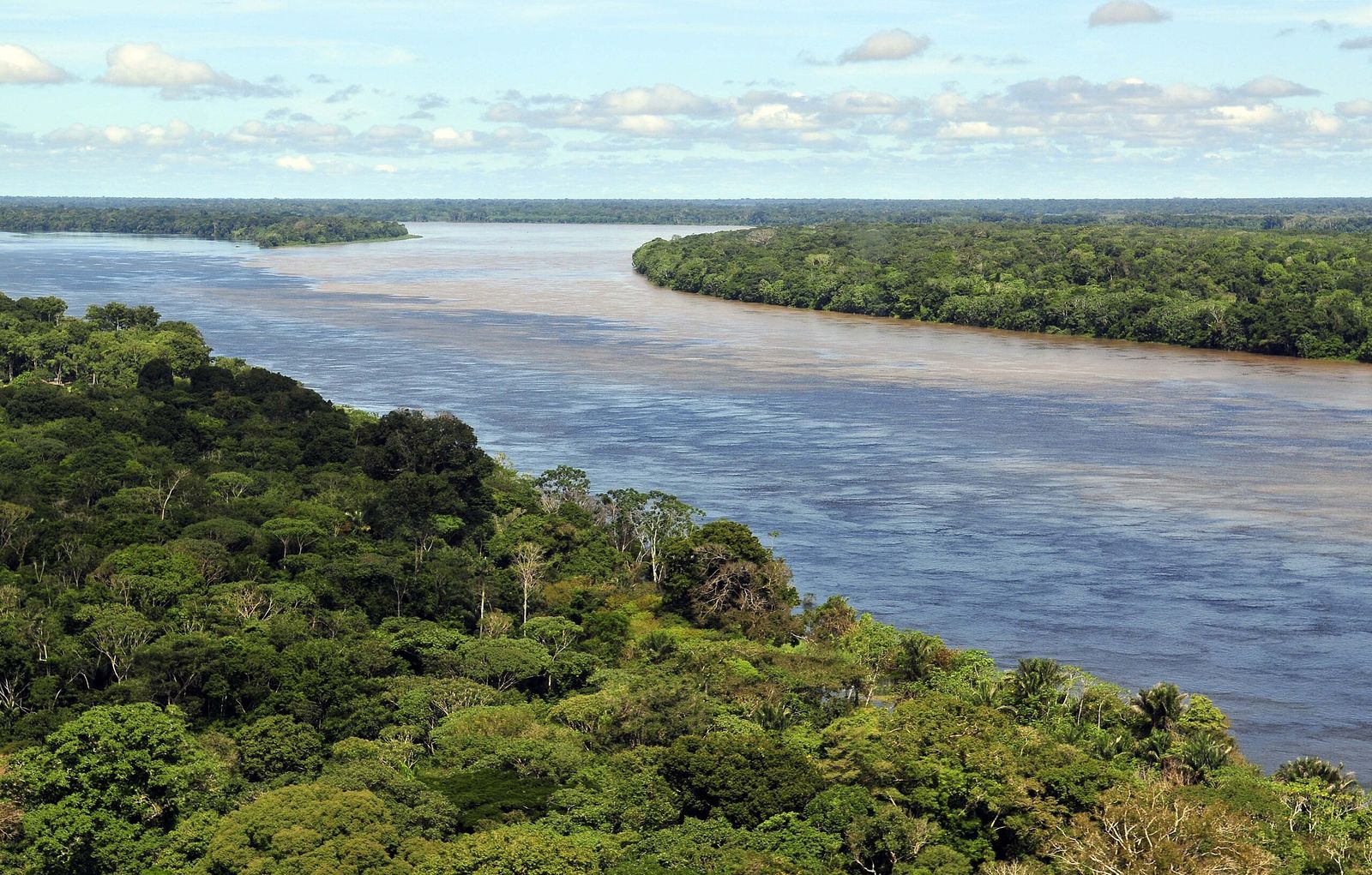 Amazon Trees Grow 3.3% Decade Thanks to CO2 Boost
