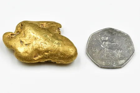 Richard Brock found the nugget using an old back-up metal detector.