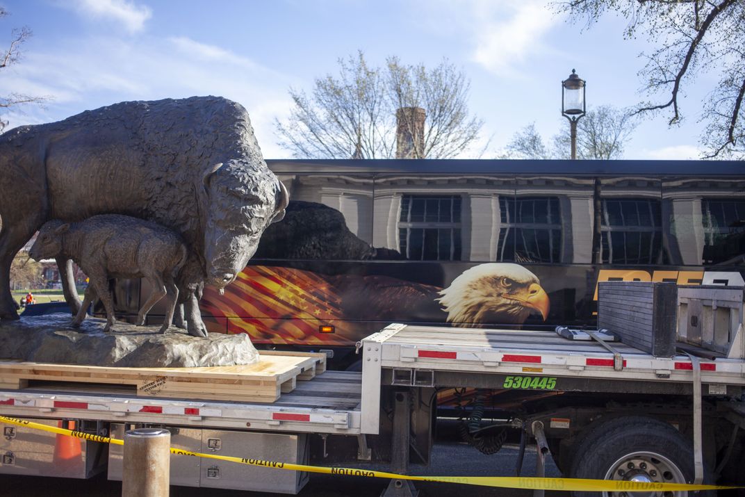 See the 2,500-Pound Bronze Bison as They Arrive at Their New, Permanent Place at the Smithsonian’s National Museum of Natural History