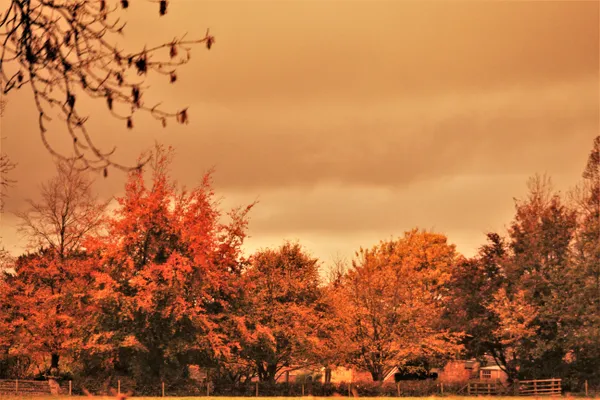 Autumn in the countryside thumbnail