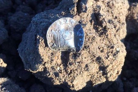 17-year-old Reece Pickering found one of just three surviving silver pennies dated to Harold II's reign.