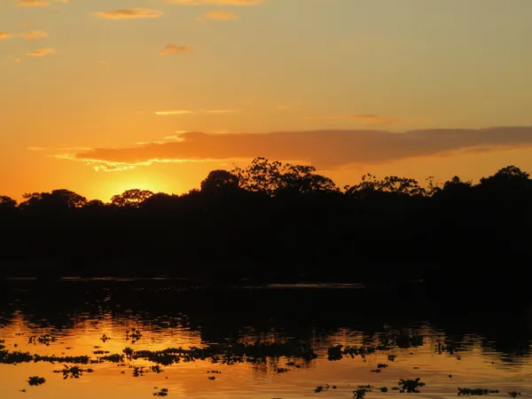 Sunset over the Amazon River thumbnail