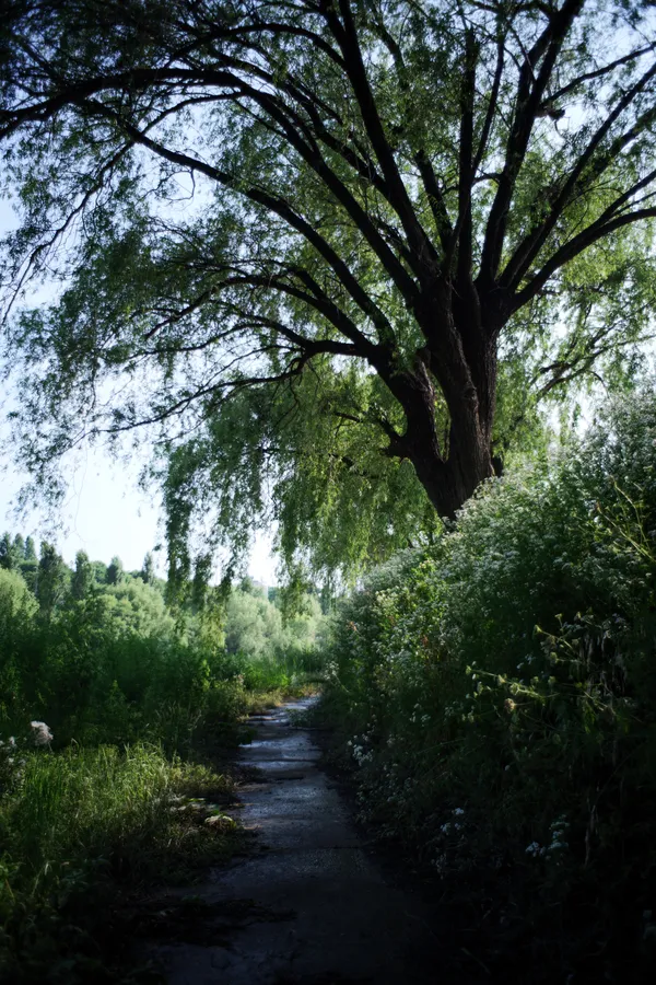 The Island the Han River Failed to Swallow, Seorae thumbnail
