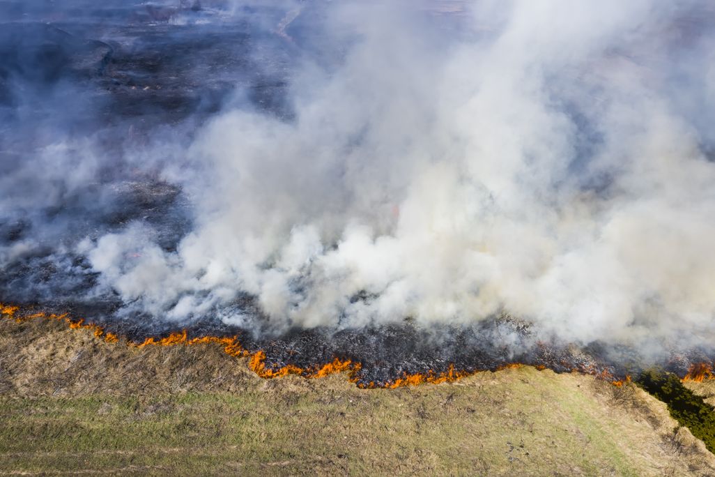 A wildfire with lots of smoke burns across a grassland in Russia