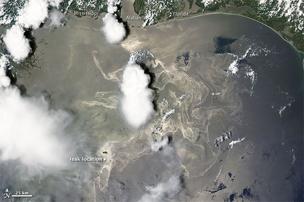 Oil hangs in the water following the blow-out of the Macondo well, June 19, 2010.