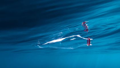 Microplastic Exposure Makes Microbes More Virulent